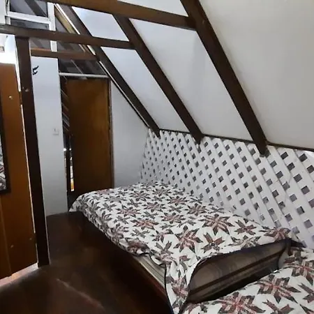 Congos Hostal Y Camping-2